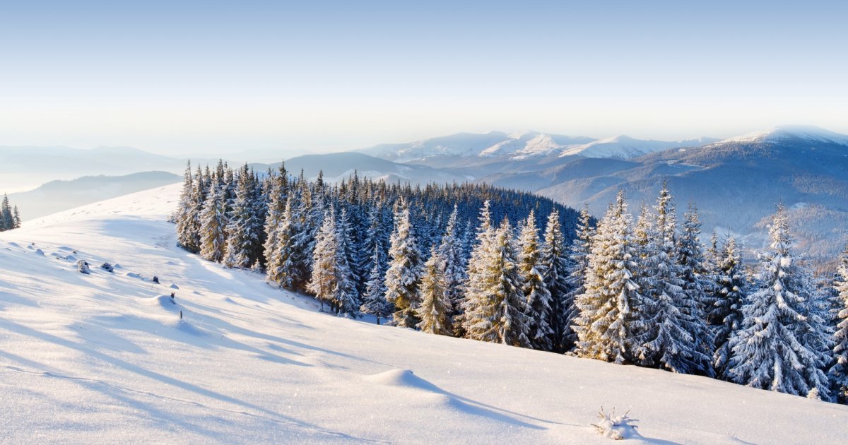 Найкращі зимові фото Українських Карпат з мережі Instargram — PMG.ua
