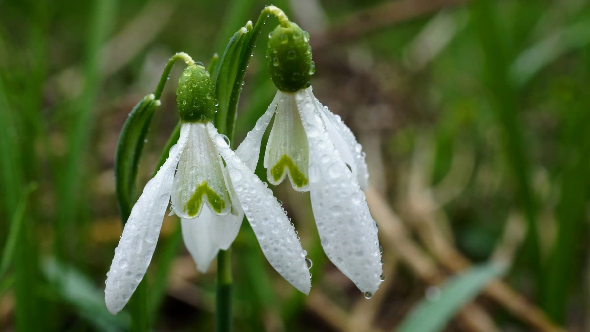 Україну накриє похолодання. Синоптики назвали дату