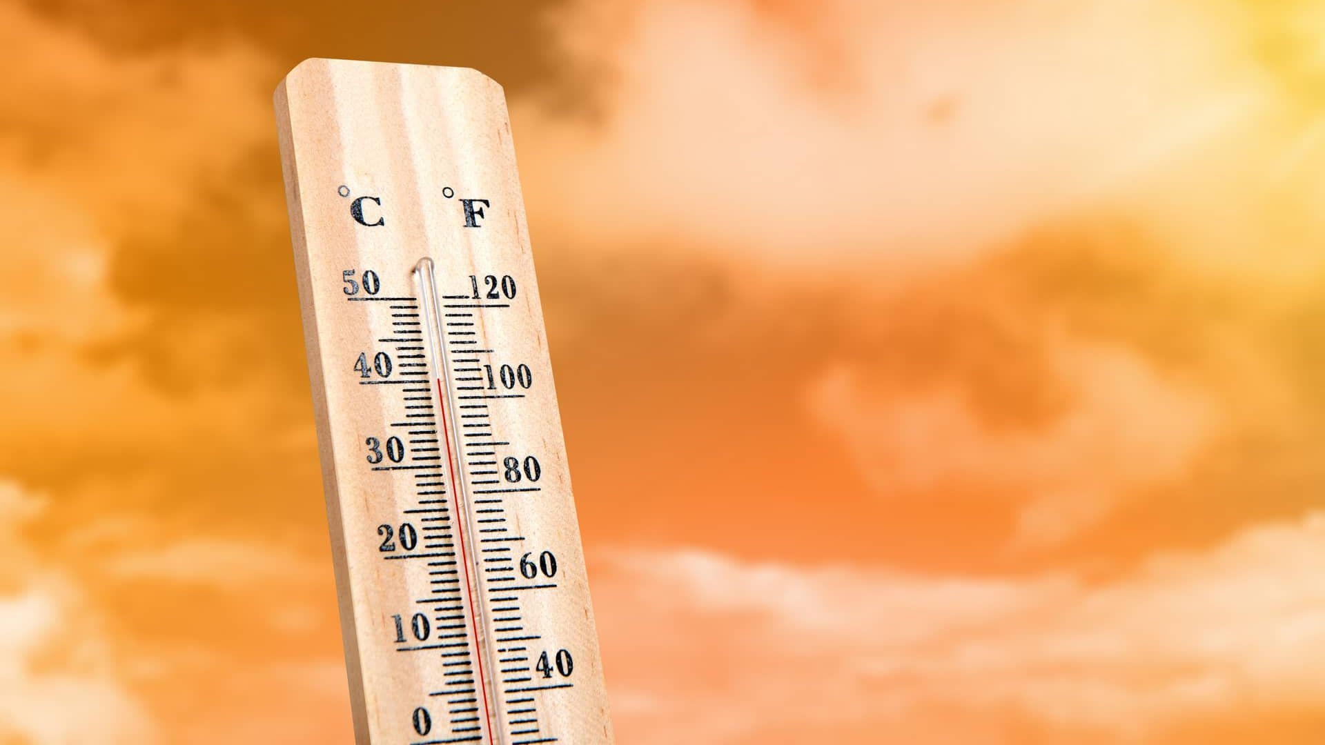 Насувається аномальна спека: коли очікувати до +38°C та в яких областях Насувається аномальна спека: коли очікувати до +38°C та в яких областях