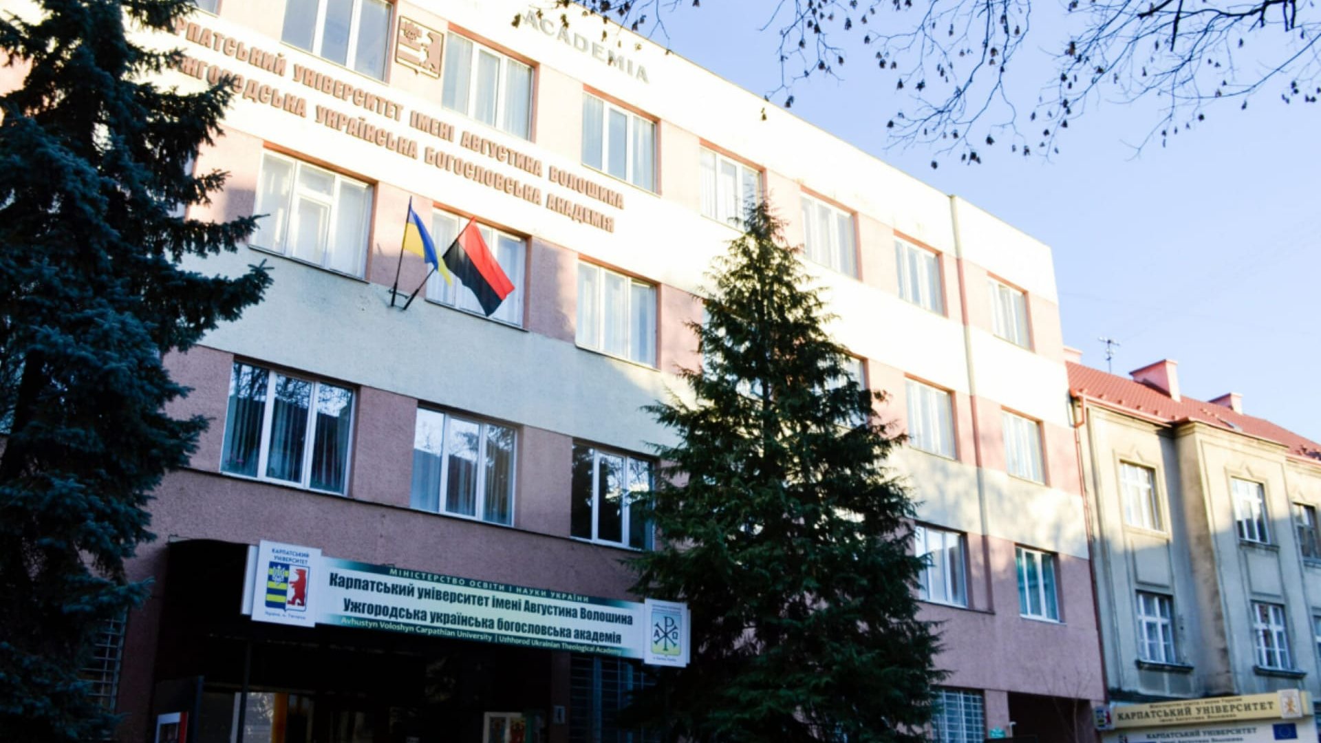 Закарпаття потрапило в п’ятірку регіонів України з найдорожчими вишами