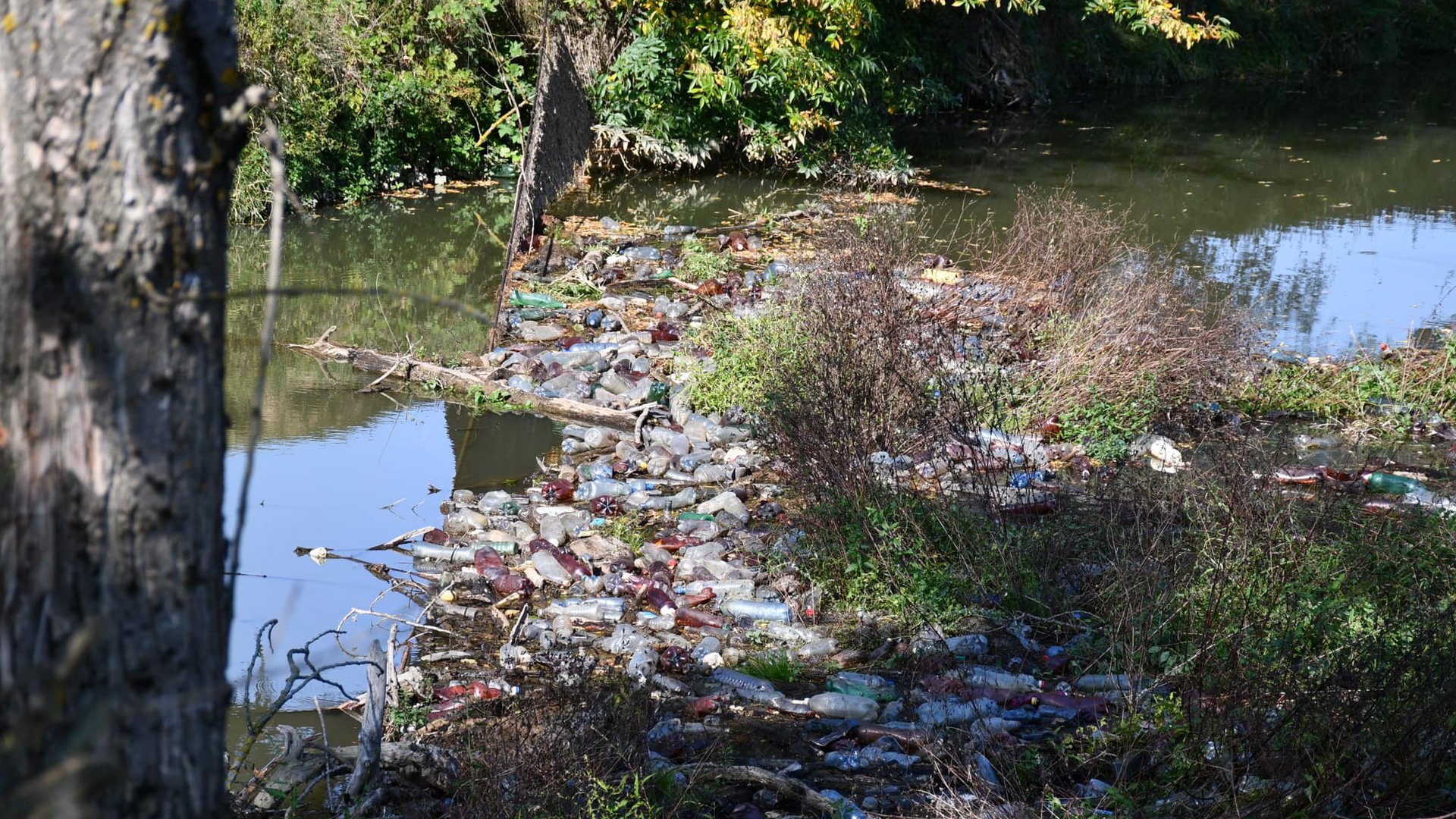 Пластикові пляшки і побутові відходи: закарпатцям показали, в якому стані одна з річок краю