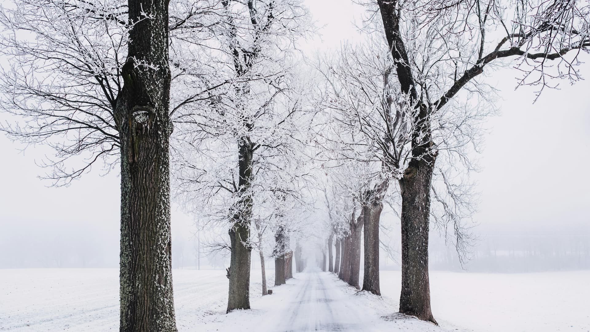 Сніг та ожеледиця: синоптики дали прогнози на 7 і 8 грудня