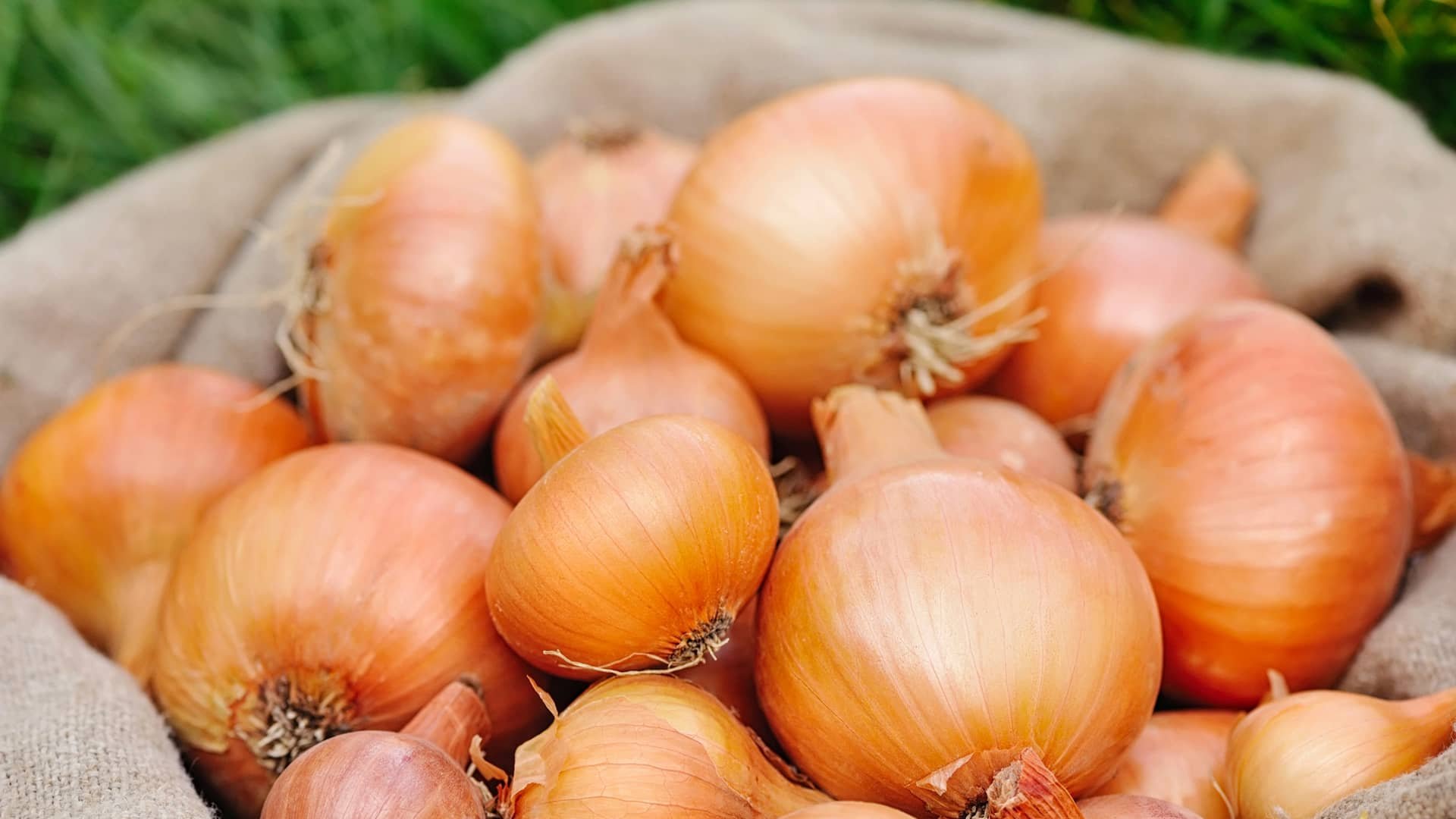 У супермаркетах значно подорожчала цибуля: скільки коштує 1 кг