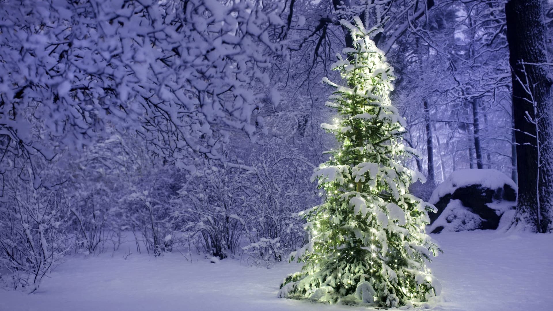 Якою буде погода на Різдво: чи прогнозують мороз та сніг