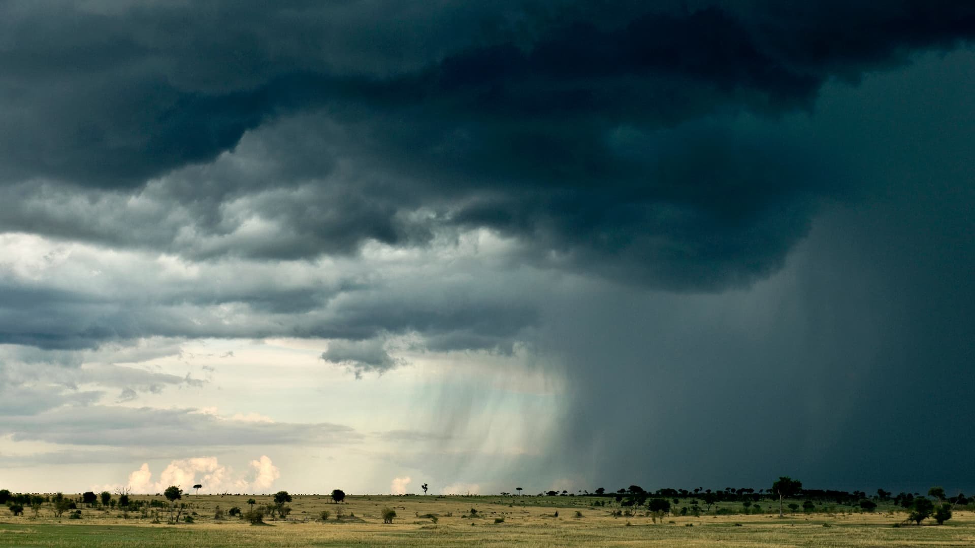 Синоптики попереджають про дощі та грози: коли погіршиться погода