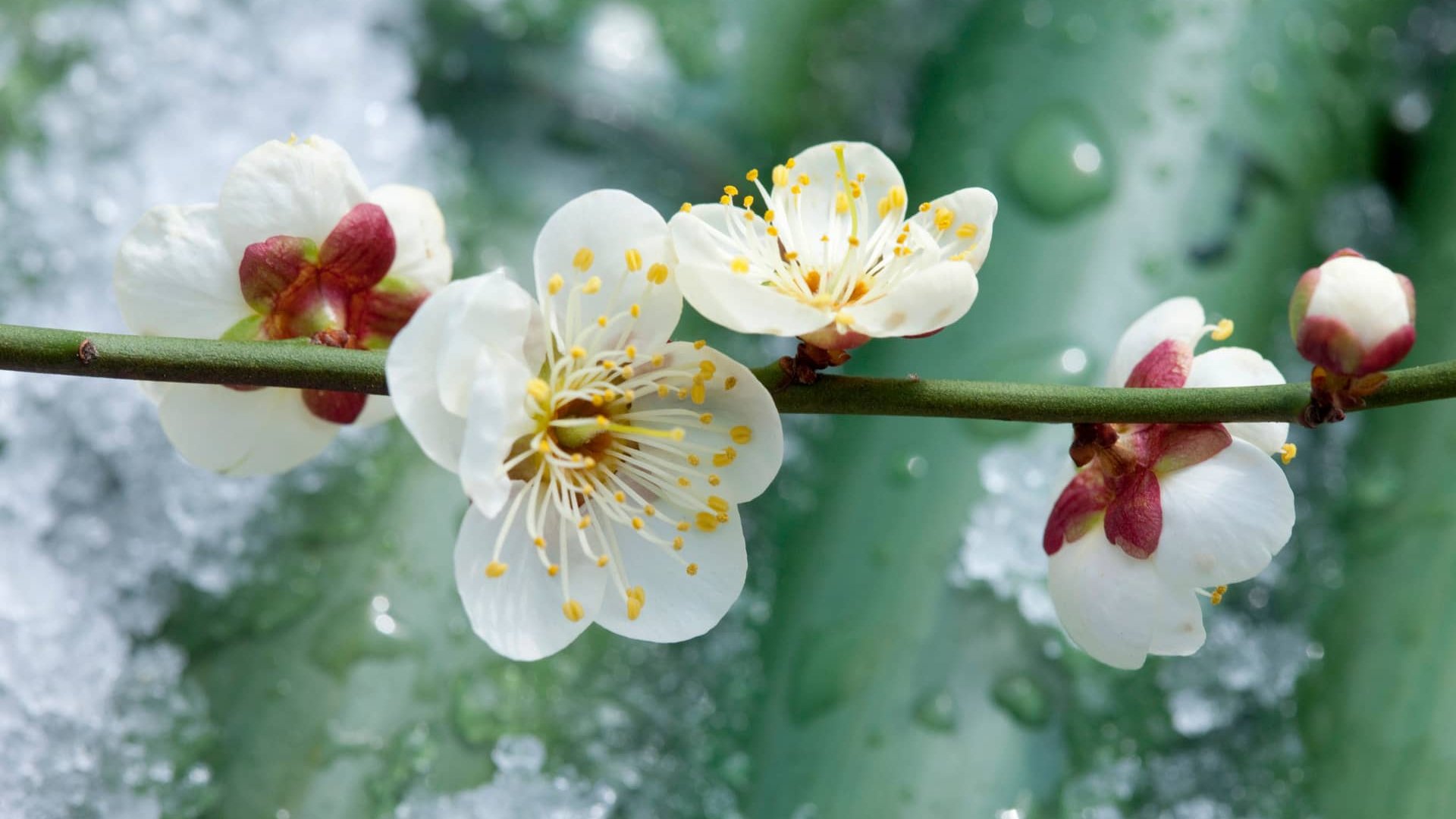 Похолодання, нічні морози та подекуди мокрий сніг: дата, коли прийде негода