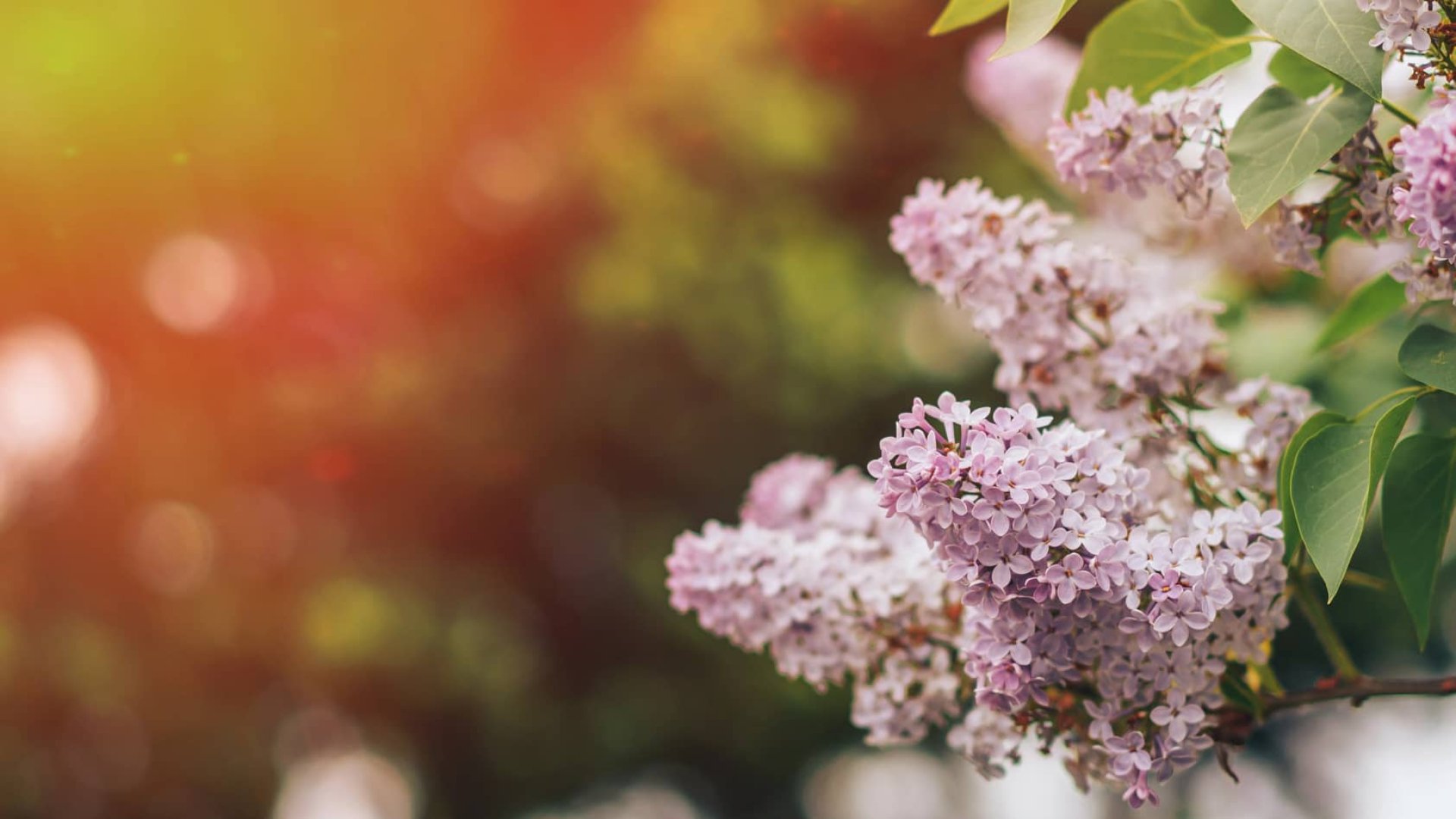 Чи прийде потепління до кінця квітня: синоптик оновила прогноз