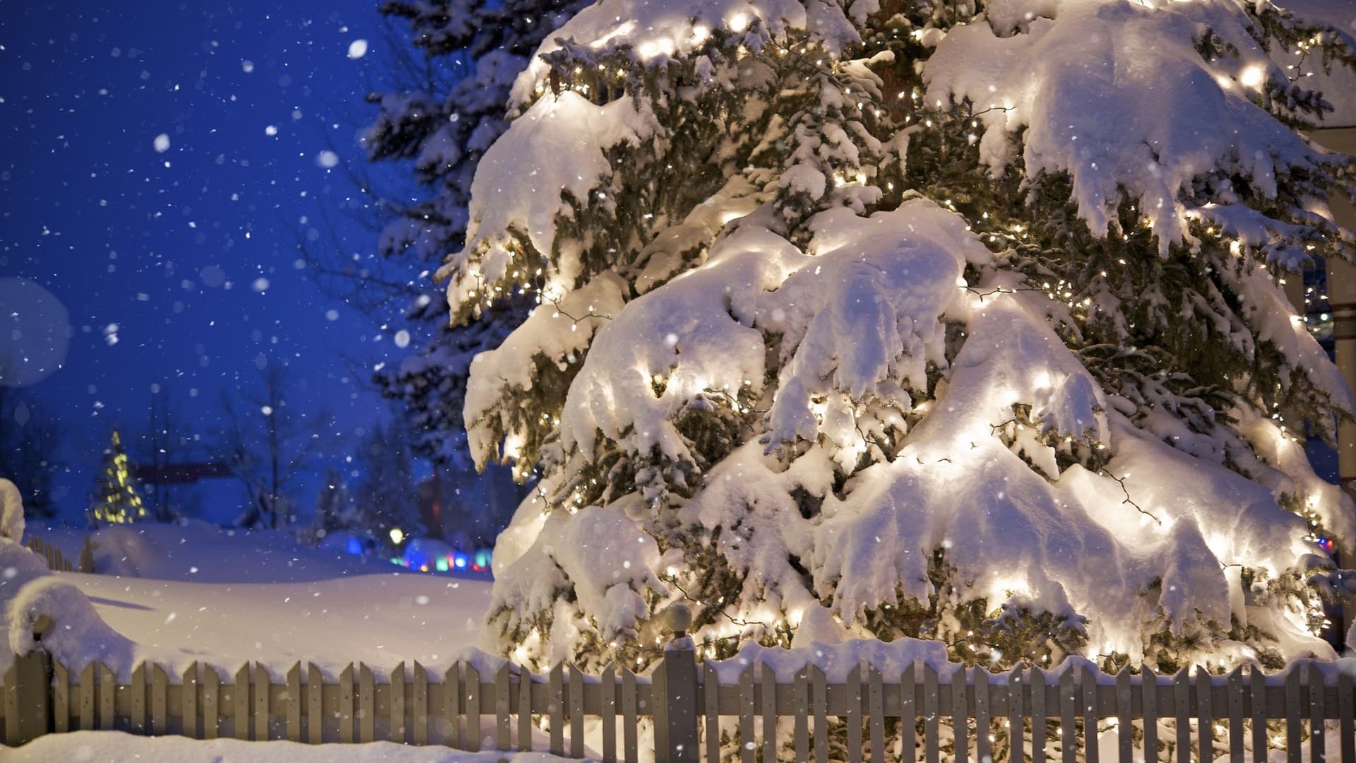 Якою буде погода на Новий рік: синоптики дали прогнози
