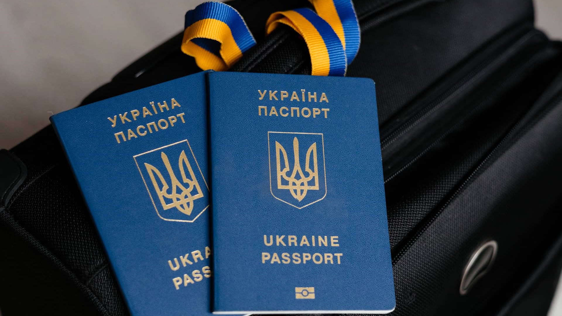 Чи можна виїхати за кордон: тепер є змога перевірити дозвіл відразу в телефоні