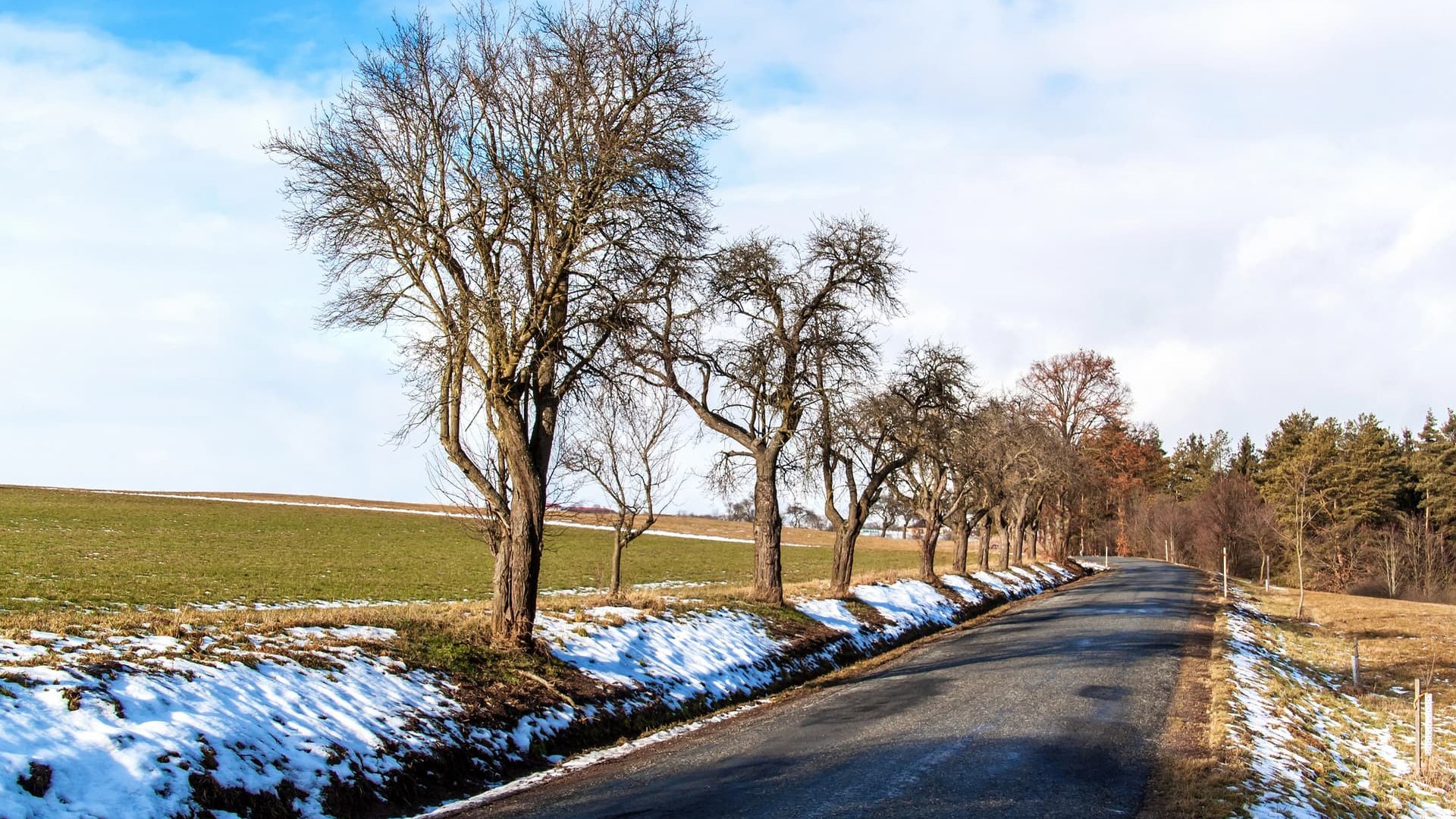 Коли в Україну прийде потепління і відступлять морози: синоптики назвали дату