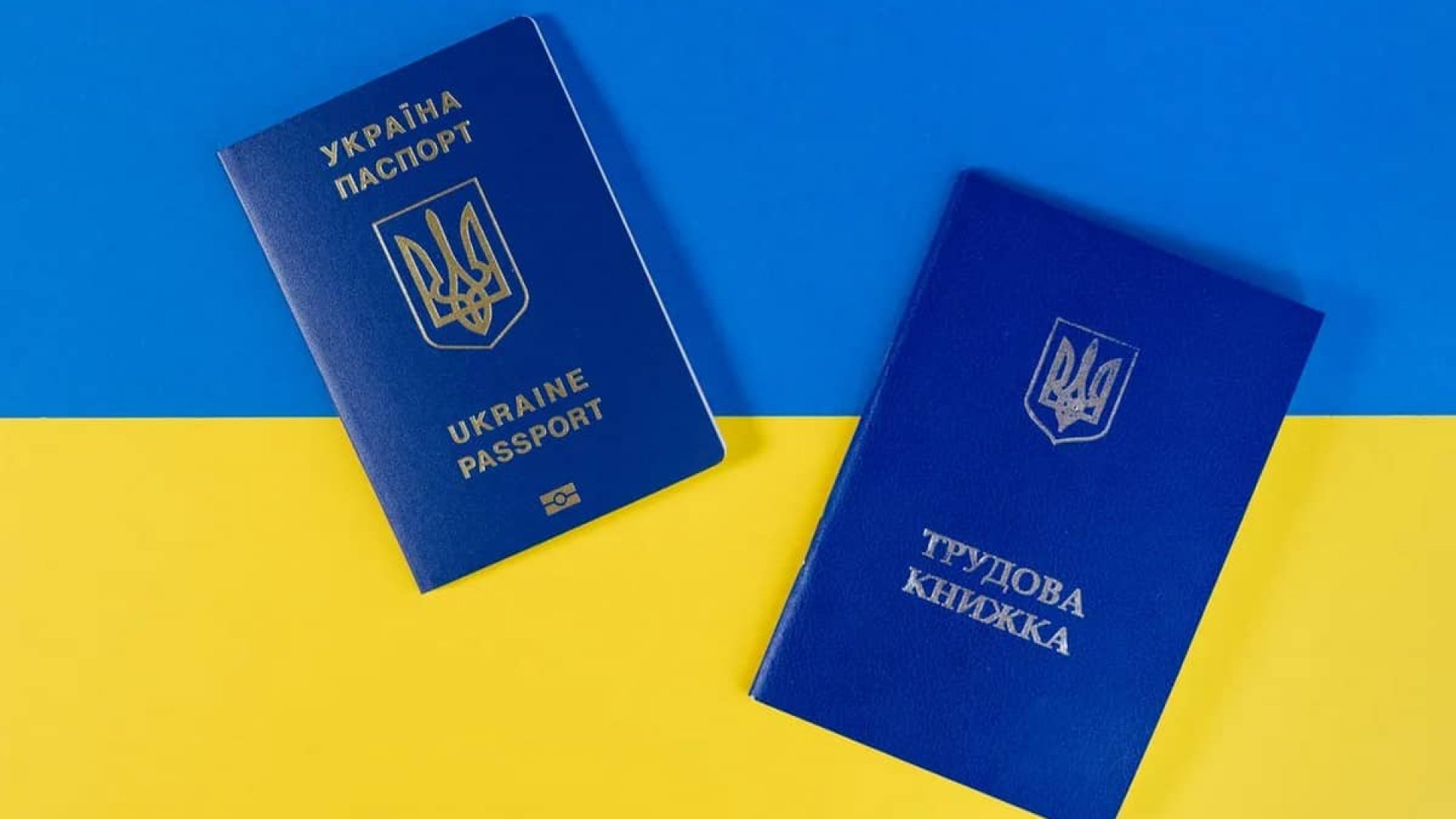 Що буде, якщо не оцифрувати трудову книжку до 10 червня