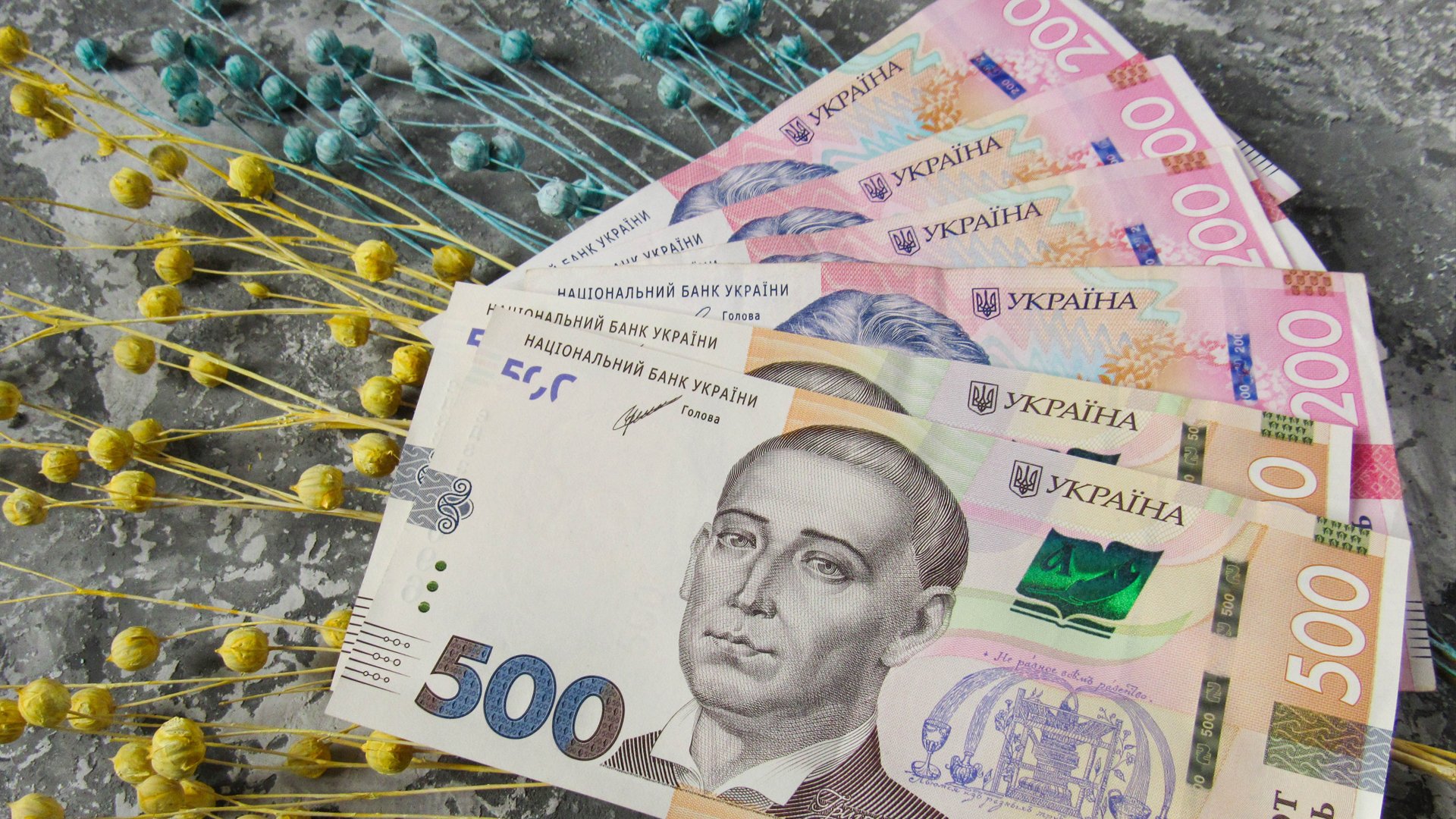 Хто з українців може отримати 14 000 гривень