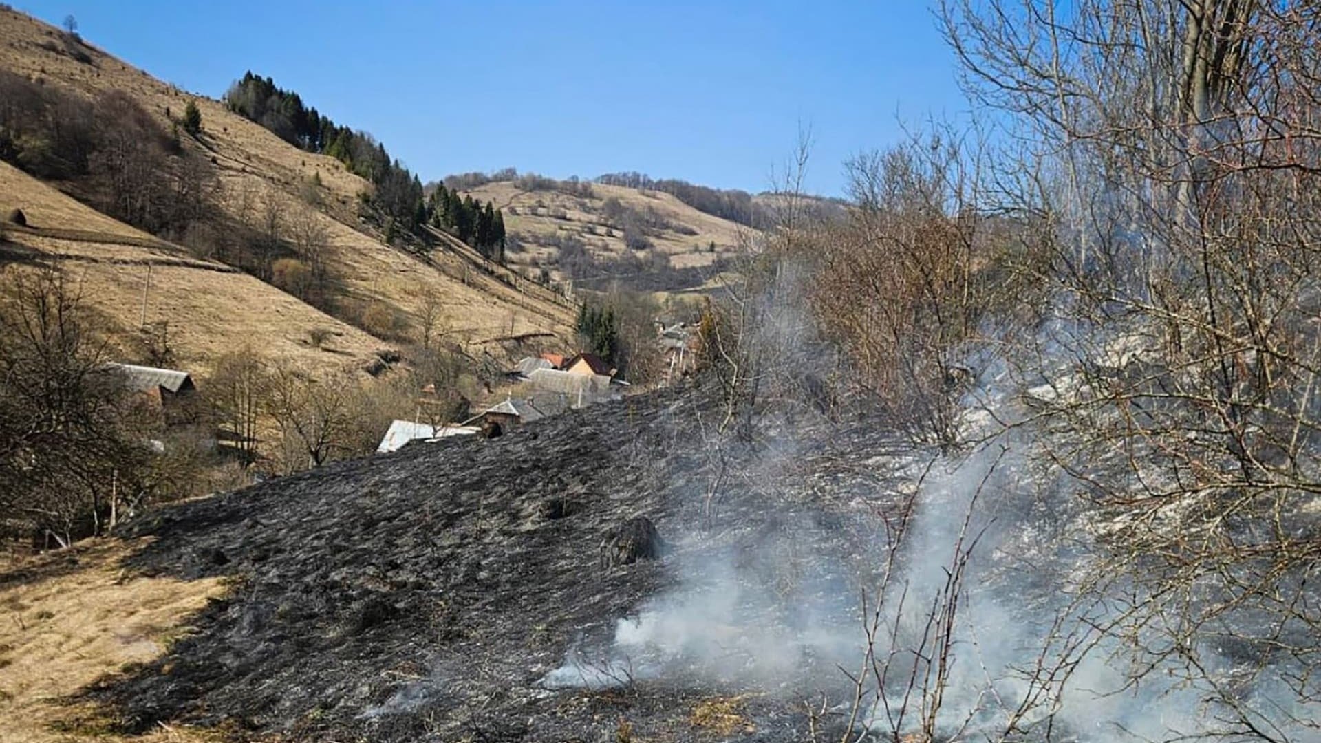В області продовжують підпалювати сухостій. Рятувальники звернулись до людей
