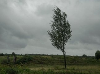 Закарпатців попередили про негоду