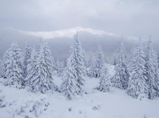 У горах зберігається значна снiголавинна небезпека