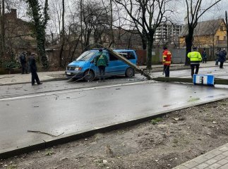 В Ужгороді на дорогу впали електричні стовпи