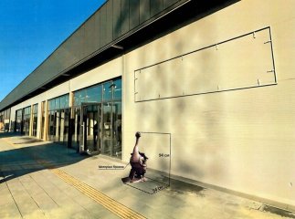 У Мукачеві на одну бронзову скульптуру гусака стане більше: де її встановлять