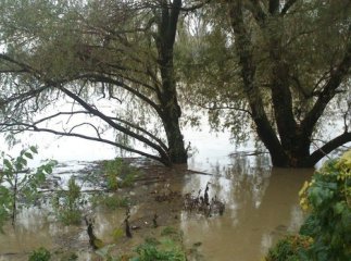 В Ужгороді вода частково підтопила Боздоський парк