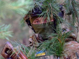 Поблизу кордону помітили пухнастого «умилянта»