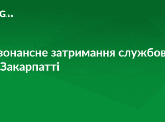 На Закарпатті «на хабарі» зловили службовця лісогосподарського підприємства 