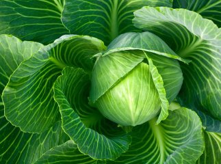 Овочі для борщу відчутно подорожчали