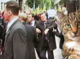 Переписала хату на кота...