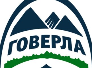 "Говерла" здолала лідера південнокорейського чемпіонату «Поханга» з мінімальним рахунком