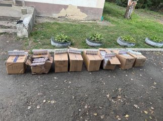 Заховали, але на Закарпатті знайшли: митники розповіли про знахідну у вагонах Заховали, але на Закарпатті знайшли: митники розповіли про знахідну у вагонах