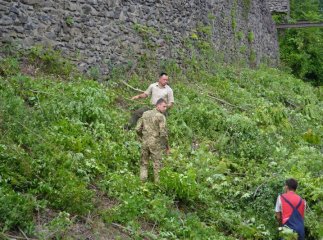 У підніжжя Невицького замку зрізали чагарники