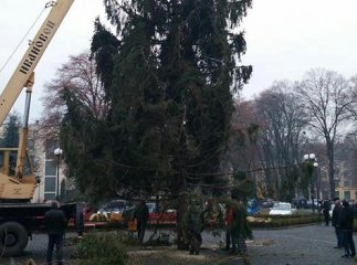 Головна ялинка Закарпаття вже красується на площі Народній
