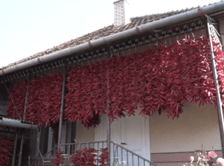 Журналісти розповіли про закарпатське село, в якому виготовляють пряні спеції
