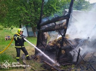 Сіно згоріло, але врятували живність: на Рахівщині гасили пожежу
