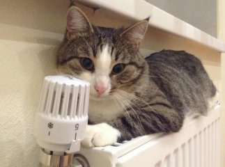 У оселях може бути холодніше: Кличко порадив підготувати светри та ковдри