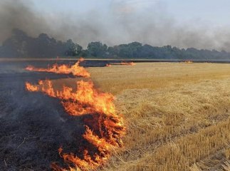 На Закарпатті оголошено найвищий клас пожежної небезпеки