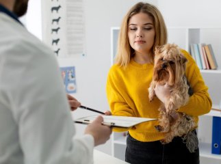 Нові паспорти для хатніх улюбленців запровадили в Україні