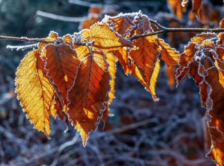 Погода в Україні