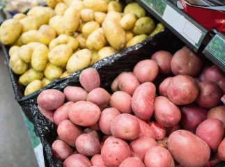 Якою буде ціна на картоплю восени, після збору урожаю Якою буде ціна на картоплю восени, після збору урожаю