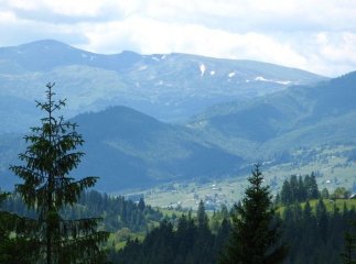 Користувачі соцмереж обурені побаченим на Яблуницькому перевалі