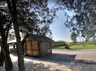 Свято меду та парад рудих у Мукачеві: програма заходів