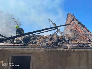 Ґазда рятував худобу, а вогнеборці — будівлю: на Тячівщині вирувала пожежа