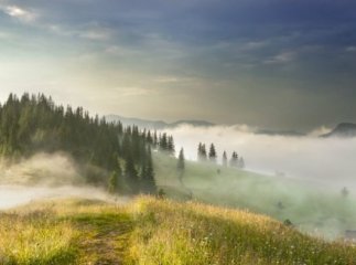 Наступного тижня погода порадує закарпатців