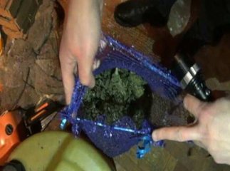 У 57-річного чоловіка поліцейські вилучили коноплі