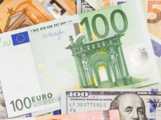 В обмінниках Закарпаття долар впав до нового мінімуму