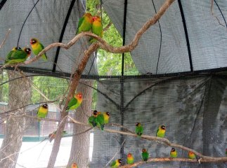 У відомому екопарку просять відвідувачів поки що не приїжджати