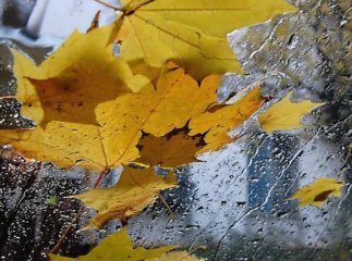 На Закарпаття насуваються холоди та дощі