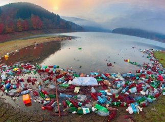 Купи сміття на Закарпатті: в мережі опублікували фото засмічених пейзажів