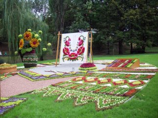 Ужгородці отримають унікальний подарунок до Дня незалежності (ВІДЕО)