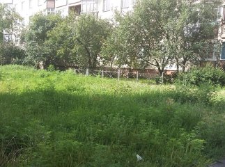 Муніципальна поліція Мукачева склала 8 протоколів на структуру, яка відповідає за утримання прибудинкових територій