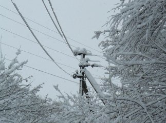 Відключення електроенергії 22 грудня: обленерго звернулось до закарпатців