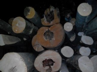 На Рахівщині поліцейські затримали авто з нелегальною деревиною